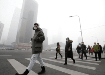 Smog, doctor alert: “Maximum risk in the first 1000 days of life”.
