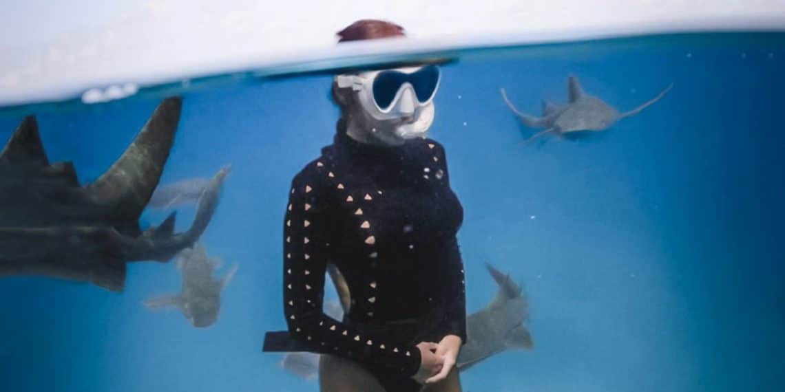 Protecting Sharks and the Oceans – Marine Advocacy Is on Top of Carla Virgos’s Agenda