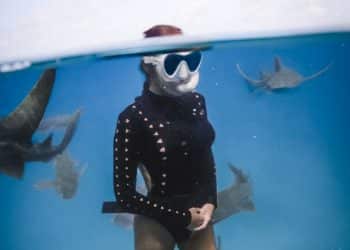 Protecting Sharks and the Oceans – Marine Advocacy Is on Top of Carla Virgos’s Agenda